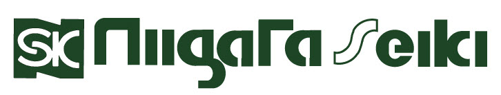 Niigata Seiki